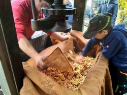 Apfelsaft pressen | Janusz Korczak Förderschule Welzheim