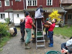 Apfelsaft pressen | Janusz Korczak Förderschule Welzheim