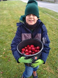 Apfelsaft pressen | Janusz Korczak Förderschule Welzheim