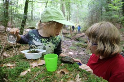 Zertifizierungsfeier Naturparkschule | Janusz Korczak Schule, Förderschule Welzheim