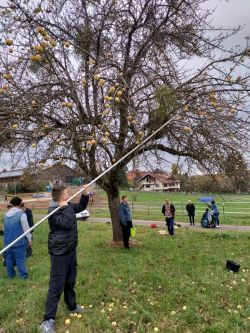 Apfelsammeln | Janusz Korczak Förderschule Welzheim