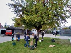 Apfelsaft pressen | Janusz Korczak Förderschule Welzheim