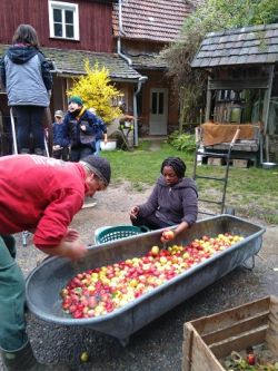 Apfelsaft pressen | Janusz Korczak Förderschule Welzheim