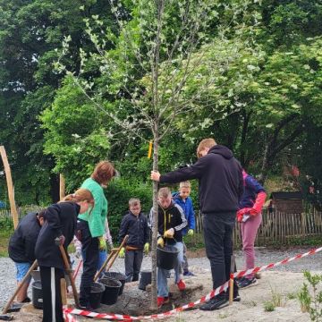 alle helfen mit