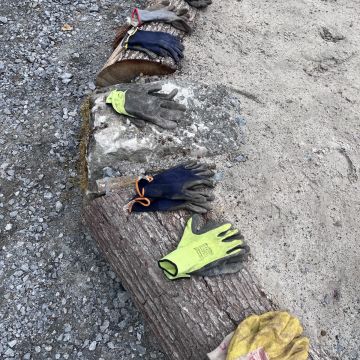 Handschuhe
