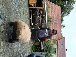 Apfelsaft pressen | Janusz Korczak Förderschule Welzheim