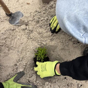 Handschuhe