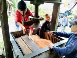 Apfelsaft pressen | Janusz Korczak Förderschule Welzheim