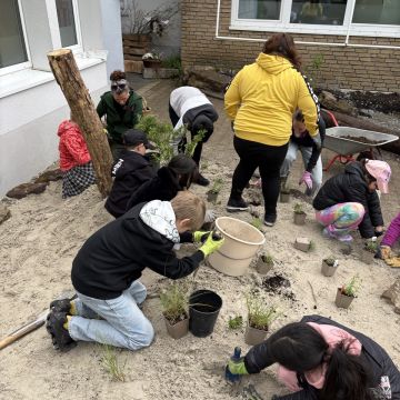 SchülerInnen bepflanzen das Sandbeet