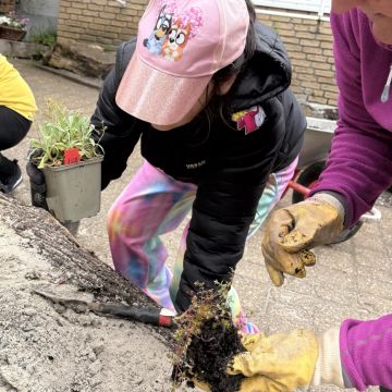 Schülerin bepflanzt das Sandbeet